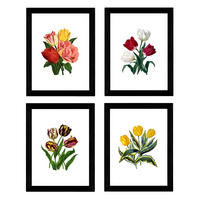 POSTER Set mit 4 Botanische Weiß Hintergrund Tulpen A3 Rahmenlos - Klar, Papier (29.7/3cm) - Nacnic