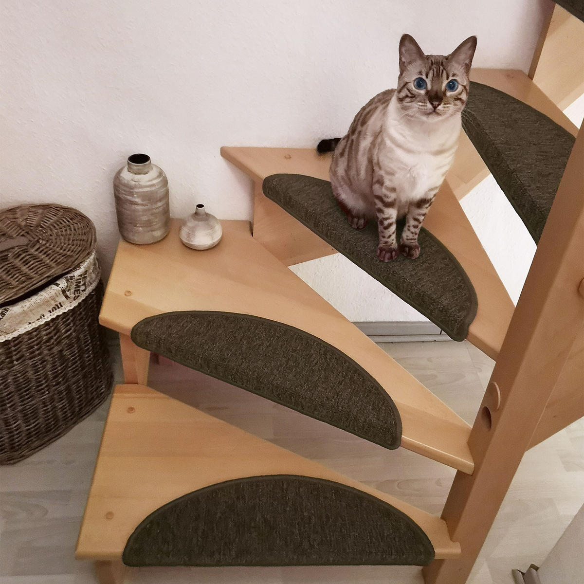 STUFENMATTE ProStair 56/20 cm Braun 15tlg - Braun, Textil (56/20/1cm) - Beautissu 