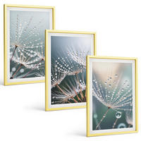 BILDER SET 3er Set - 40x60 cm Goldrahmen - Wassertropfen auf Löwenzahnsprossen - Goldfarben, Kunststoff (40/60cm) - TULUP