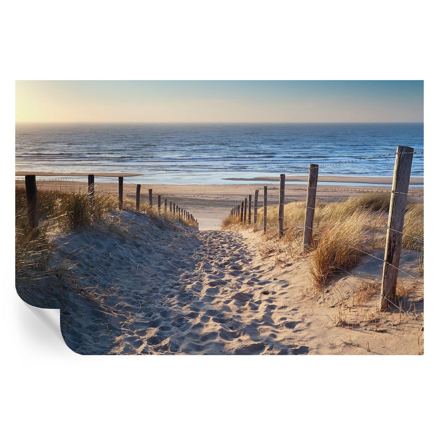 FOTOTAPETE 104x70 cm - Strandweg - Weiß, Textil (104/70cm) - Wallfluent