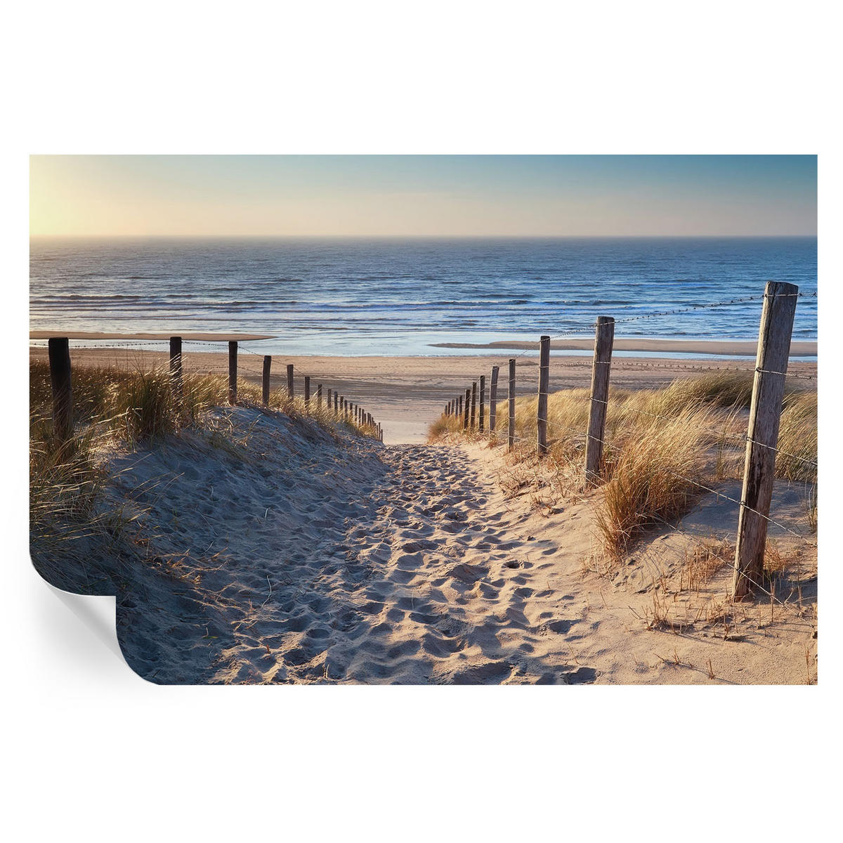 FOTOTAPETE 104x70 cm - Strandweg - Weiß, Textil (104/70cm) - Wallfluent