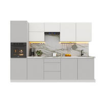 KÜCHENZEILE 300 cm Glanzia – KU-S01 – Grau / Weiß – Hochglanz - Grau, Holzwerkstoff (300/212/60cm)