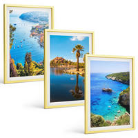 BILDER SET 3er Set - 40x60 cm Goldrahmen - Palmen am Meer, blaues Wasser - Goldfarben, Kunststoff (40/60cm) - TULUP