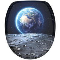 WC-SITZ mit Absenkautomatik Earth - Schwarz, Holzwerkstoff (38/6/47cm) - Sanilo