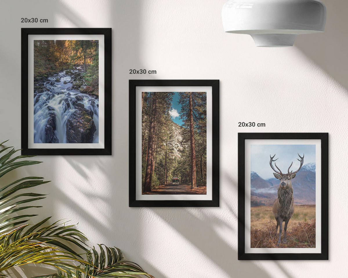 WANDBILDER 3er-Set - 20x30 cm Schwarzer Rahmen - Wasserfall Wald Berge Hirsch Natur - Schwarz, Kunststoff (20/30cm) - ArtPrintCave