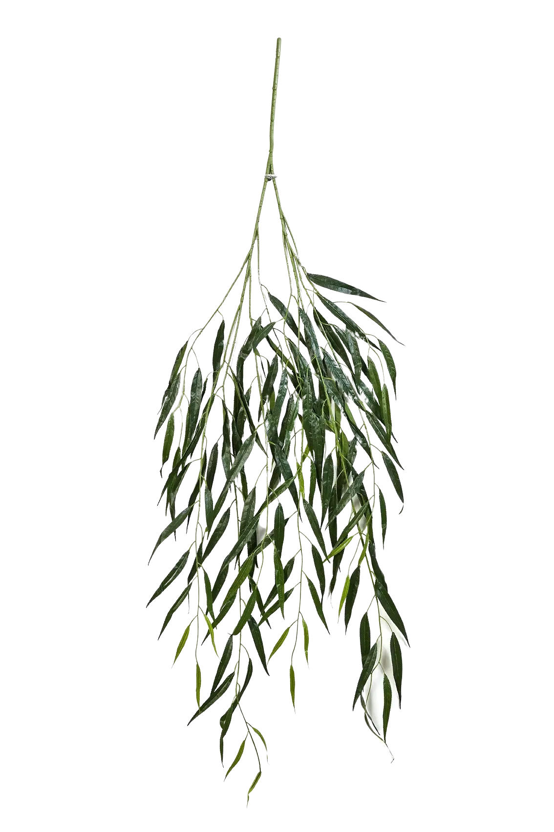 KUNSTPFLANZE Künstlicher Weide Zweig - Bastian 134 cm - Grün, Kunststoff (134cm) - aplanta