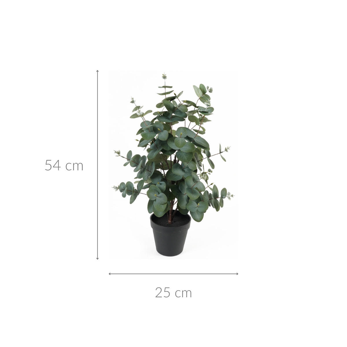 KÜNSTLICHER EUKALYPTUS Eden 54 cm - Grün, Kunststoff (54cm) - Present Time