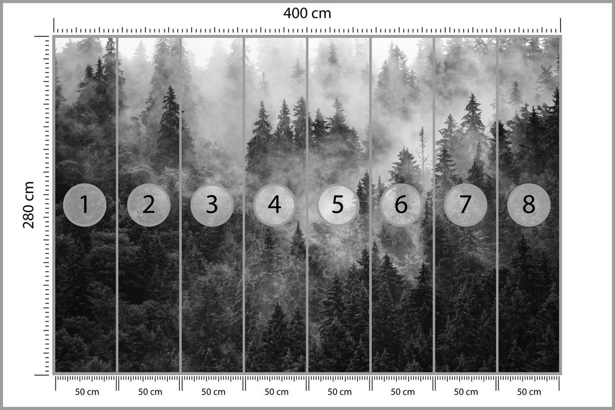 FOTOTAPETA Pre Obývaciu Izbu Hustá Hmla Les Stromy 400 x 280 cm - čierna/sivá, papier (400/280cm) - Muralo