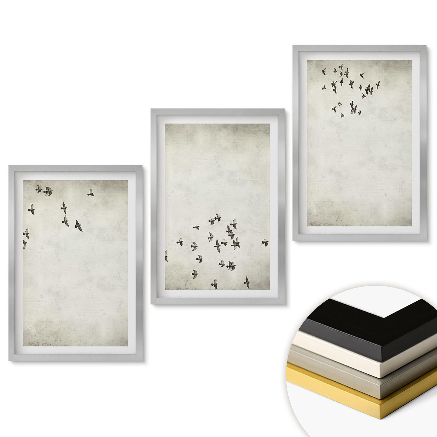 WANDBILDER 3er Set - 40x60 cm Silberner Rahmen - Minimalistische Vogelmalerei - Silberfarben, Kunststoff (40/60cm) - ArtPrintCave