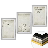 WANDBILDER 3er Set - 40x60 cm Silberner Rahmen - Minimalistische Vogelmalerei - Silberfarben, Kunststoff (40/60cm) - ArtPrintCave