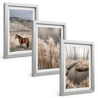 BILDER SET 3er Set - 20x30 cm Silberner Rahmen - Pferde, Landschaft, Gras, Bach - Silberfarben, Kunststoff (20/30cm) - TULUP