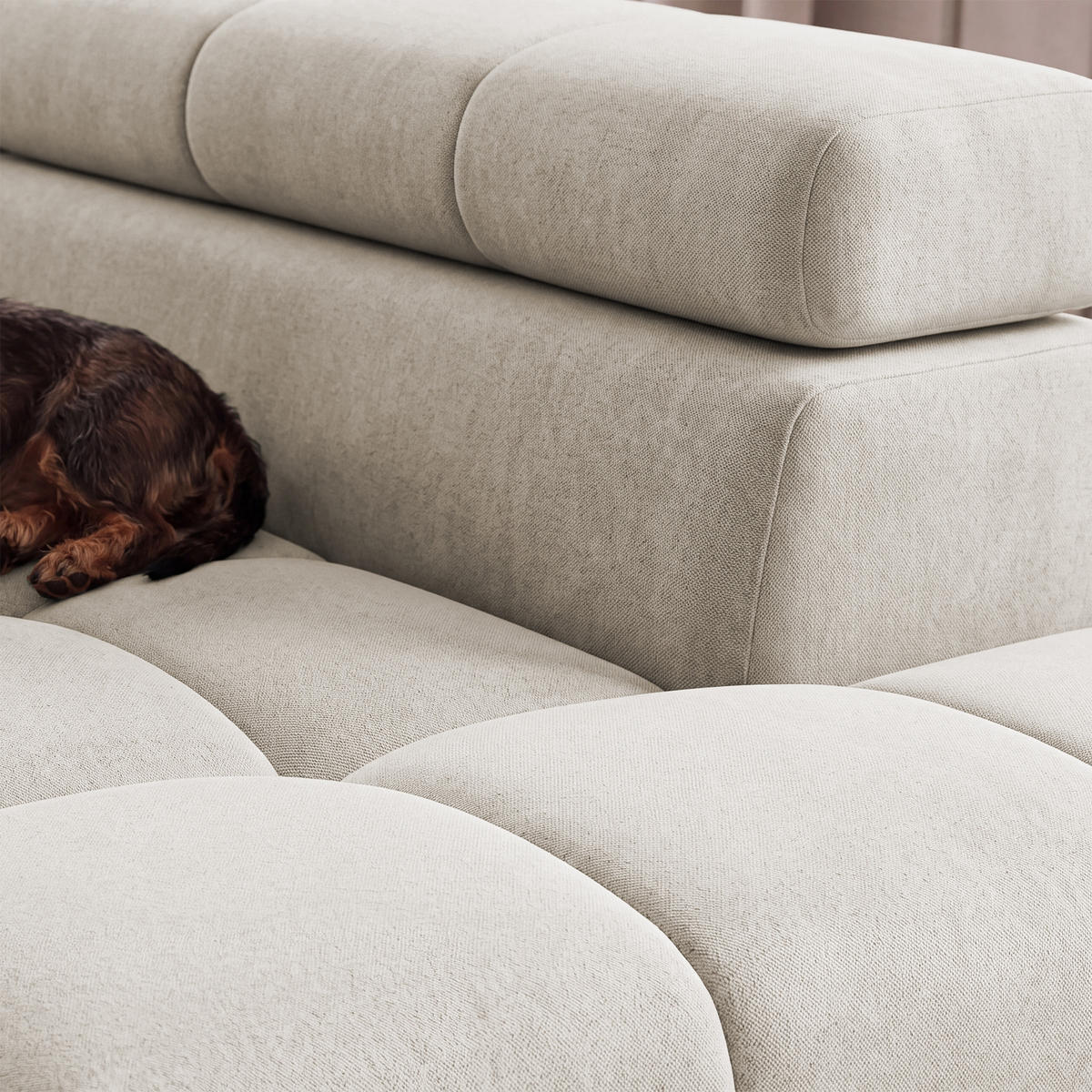 ECKSOFA PUDDING S Rechts mit Schlaffunktion 125x195 Velours Creme - Creme/Schwarz, Holz/Textil (275/177cm) - Muffo