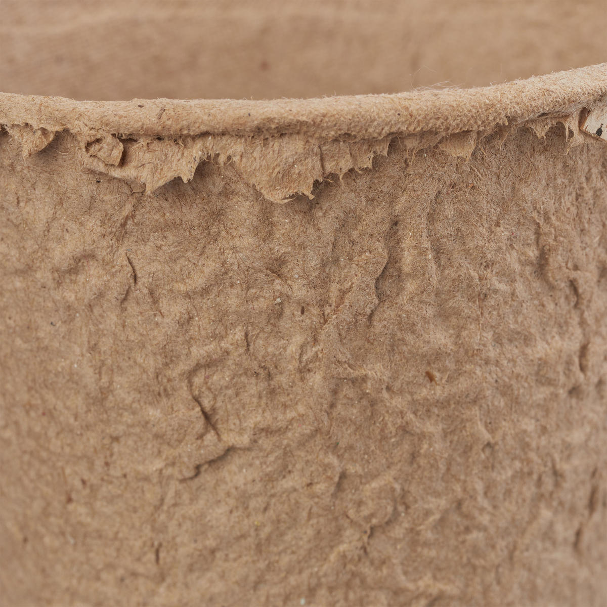 80XANZUCHTTÖPFE - Hellbraun, Papier (8cm) - Relaxdays