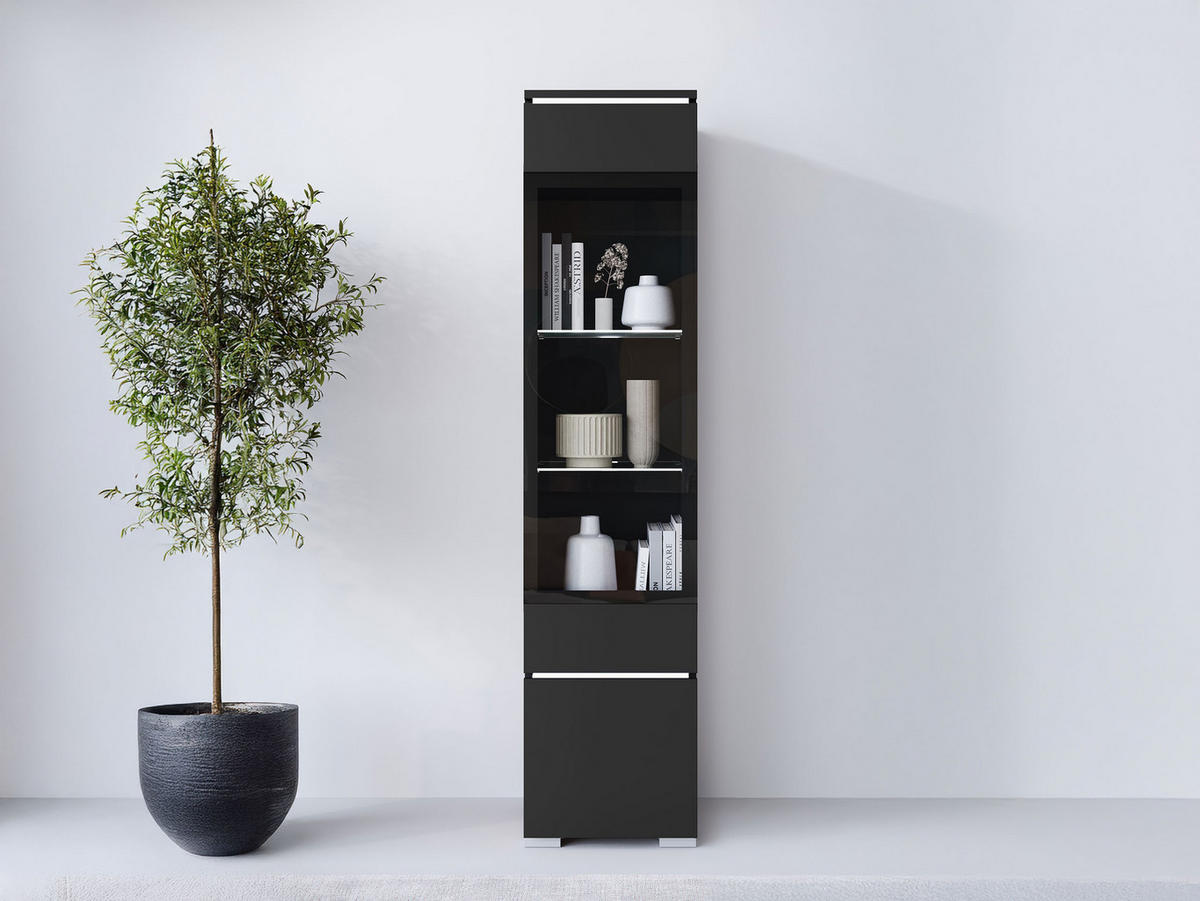 HÄNGEVITRINE Vera 002 mit LED Beleuchtung - Alufarben/Graphitfarben, Holzwerkstoff/Kunststoff (30/130/33cm) - MIRJAN24