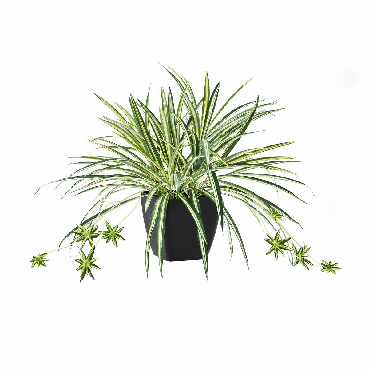 KUNSTPFLANZE Künstliche Grünlilie – Liora 50 cm - Grün, Kunststoff (50cm) - aplanta