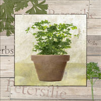 BILD 30x30 cm Küche Kräuter Petersilie grün - Beige, Holzwerkstoff (30/30/2cm) - artissimo