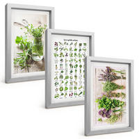 BILDER SET 3er Set - 20x30 cm Silberner Rahmen - Getrocknete Kräuter für die Küche - Silberfarben, Kunststoff (20/30cm) - TULUP