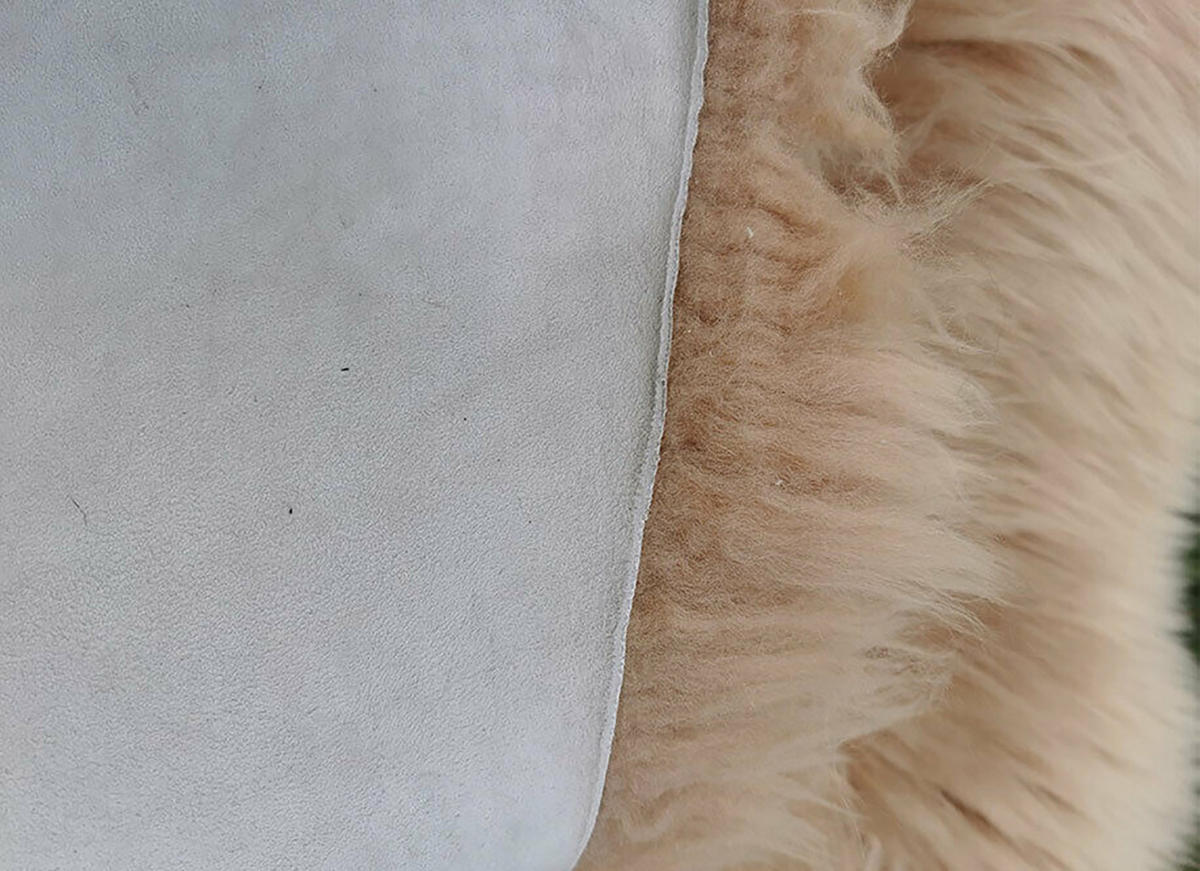 SCHAFFELL Natur Lammfell Weich Flauschig Wohnteppich, Cappuccino, ca. 130 cm - Cappuccino, Fell (70/130cm) - Provellus