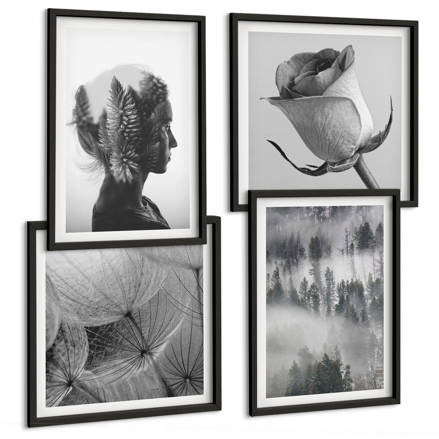 BILDER SET 4er Set - 50x50 cm & 40x60 cm Schwarzer Rahmen - Waldnebelporträt einer Frau - Schwarz, Kunststoff (50/50cm) - TULUP
