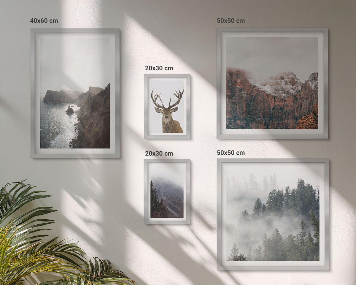 BILDER SET 5er Set - 50x50 cm & 20x30 cm & 40x60 cm Silberner Rahmen - Berglandschaft Nebel Hirsch - Silberfarben, Kunststoff (40/60cm) - TULUP