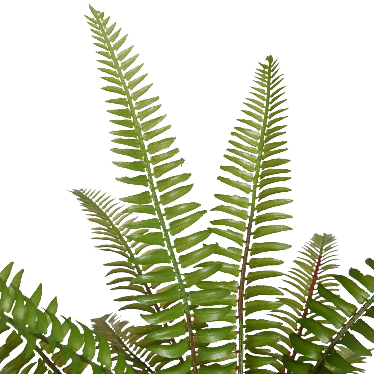 KUNSTPFLANZE Künstlicher Farn - Isa 35 cm - Grün, Kunststoff (35cm) - aplanta