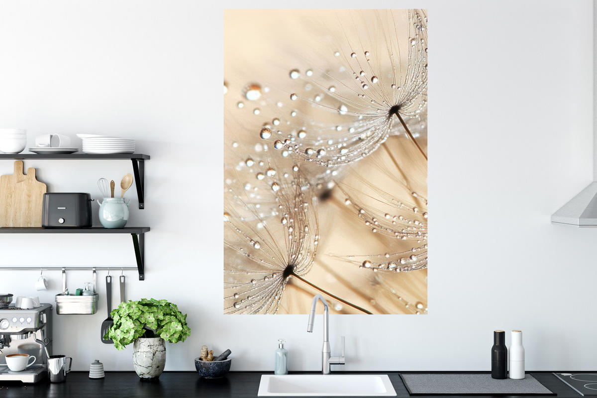 WANDTATTOO Löwenzahn - Abstrakt - Natur - Beige 80x120 cm - Braun, Kunststoff (80/120/0.1cm) - MuchoWow