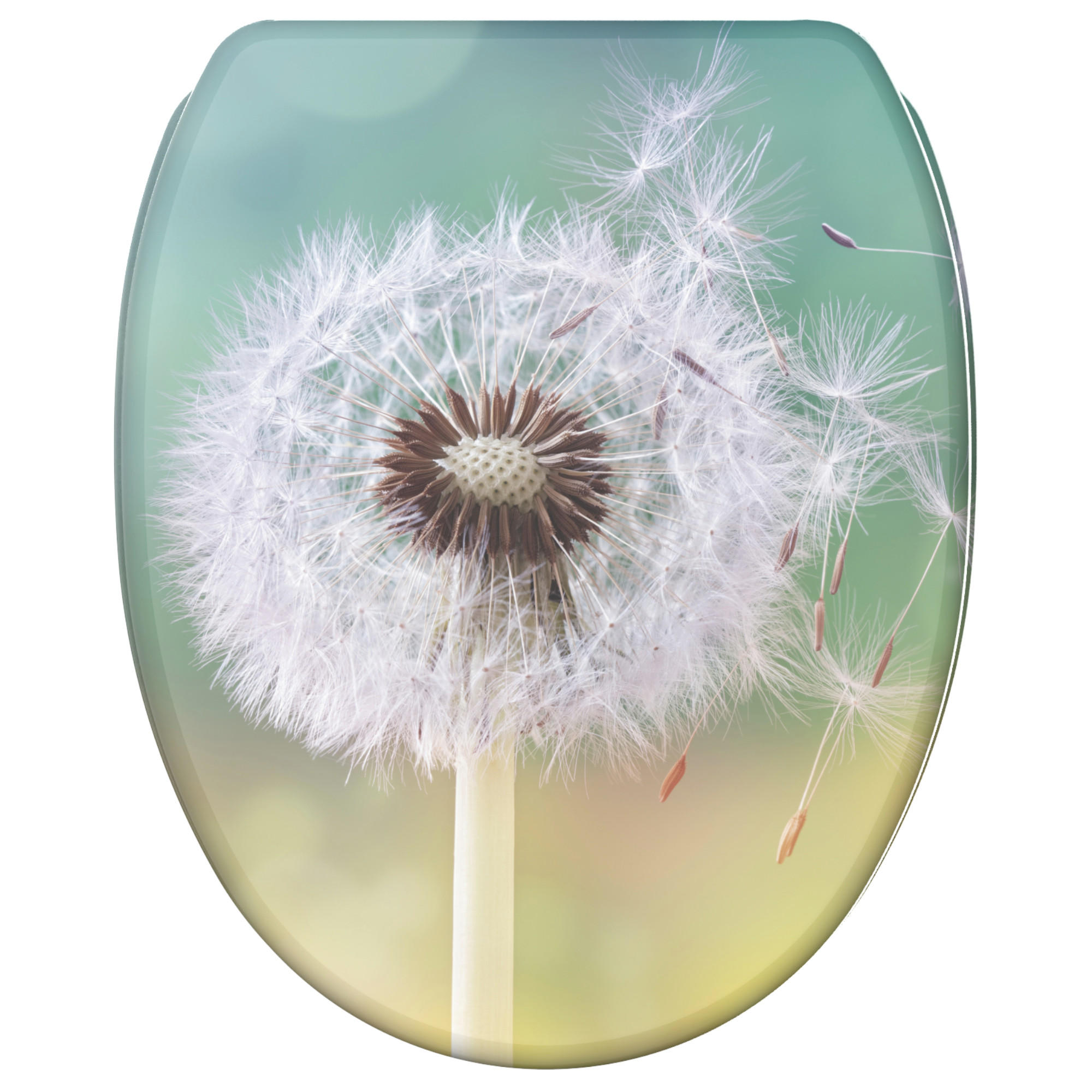 WC-SITZ mit Absenkautomatik & Top Fix Pusteblume - Türkis, Holzwerkstoff (37.7/5.5/48cm) - Sanilo