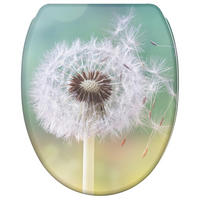 WC-SITZ mit Absenkautomatik & Top Fix Pusteblume - Türkis, Holzwerkstoff (37.7/5.5/48cm) - Sanilo