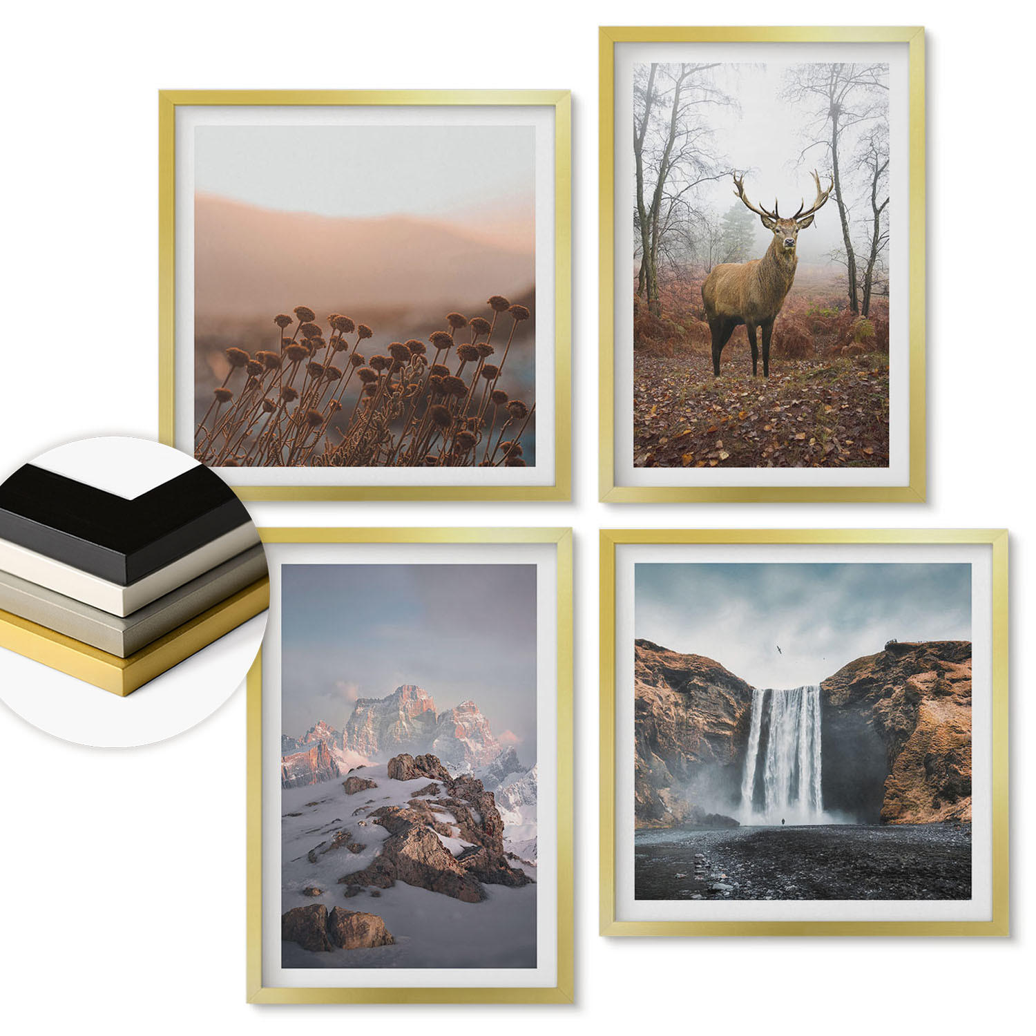 ArtPrintCave Wandbilder Gold 50x50 cm