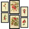 POSTER Set Mit 6 Rote Blumen In Vintage A3 & A4 Rahmen Aus Hellem Holz - Beige, Papier (29/3cm) - Nacnic