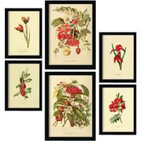 POSTER Set Mit 6 Rote Blumen In Vintage A3 & A4 Rahmen Aus Hellem Holz - Beige, Papier (29/3cm) - Nacnic