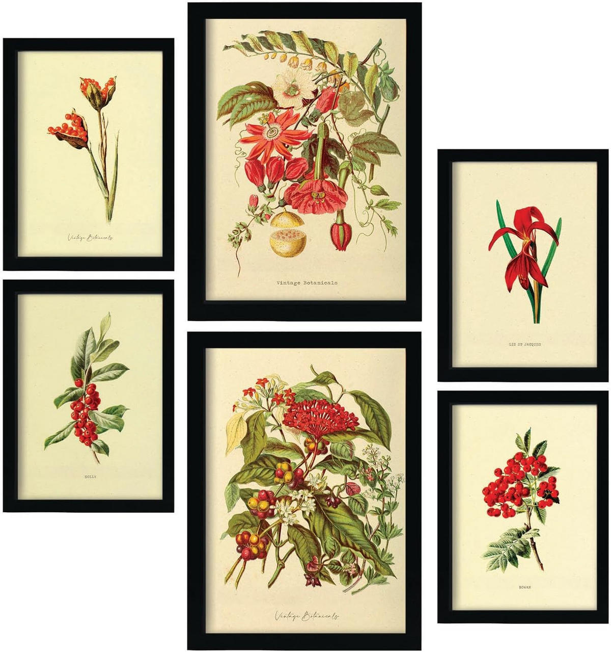 POSTER Set Mit 6 Rote Blumen In Vintage A3 & A4 Rahmen Aus Hellem Holz - Beige, Papier (29/3cm) - Nacnic
