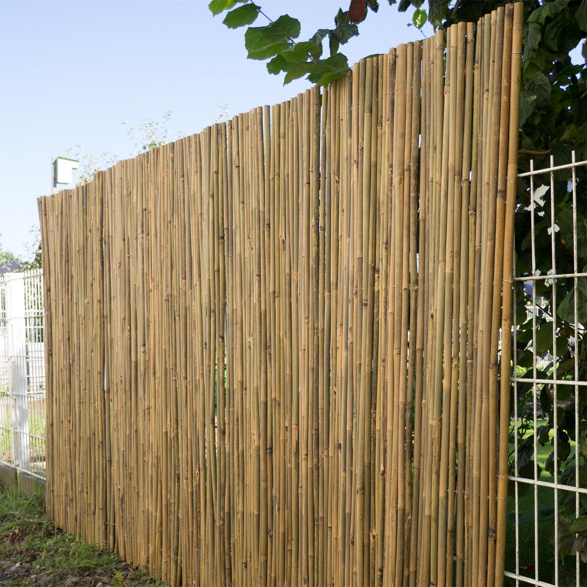 SICHTSCHUTZMATTE Lukata 150x250 cm, Bambus naturfarben - Naturfarben, Holz (250/150cm) - DESIGN DELIGHTS