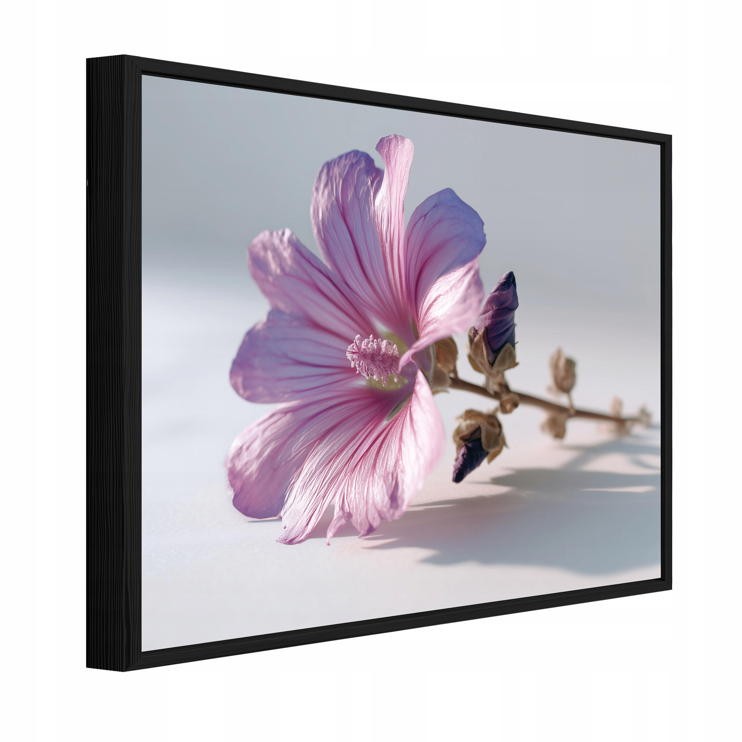 BILDER mit Rahmen Blumen Natur Rosa 60x40 cm - Multicolor, Holzwerkstoff (60/40cm) - Wallarena