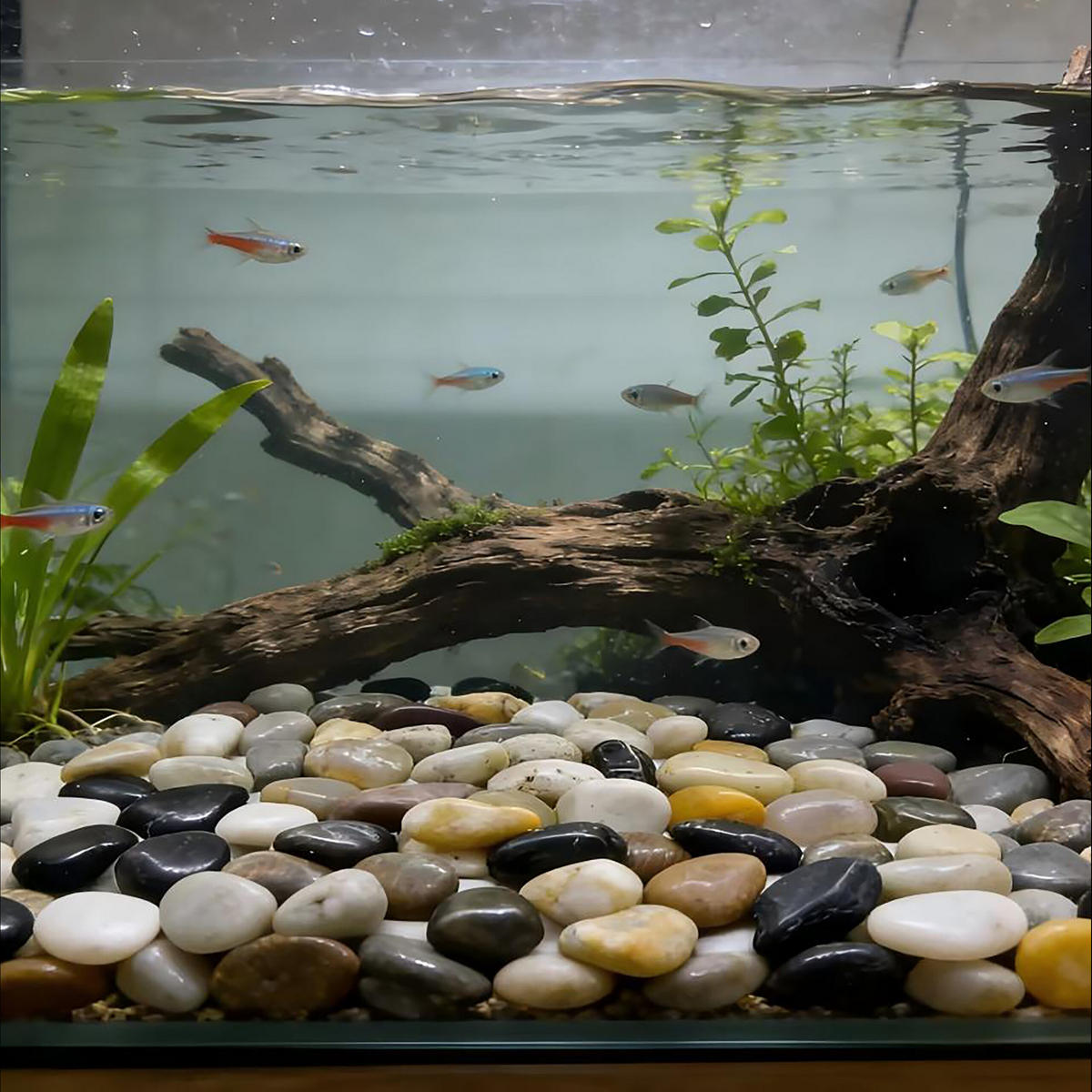 OBLÁZKY Vícebarevné přírodní kámen 2 kg - různobarevná, kámen (4/2/4cm) - Relaxdays