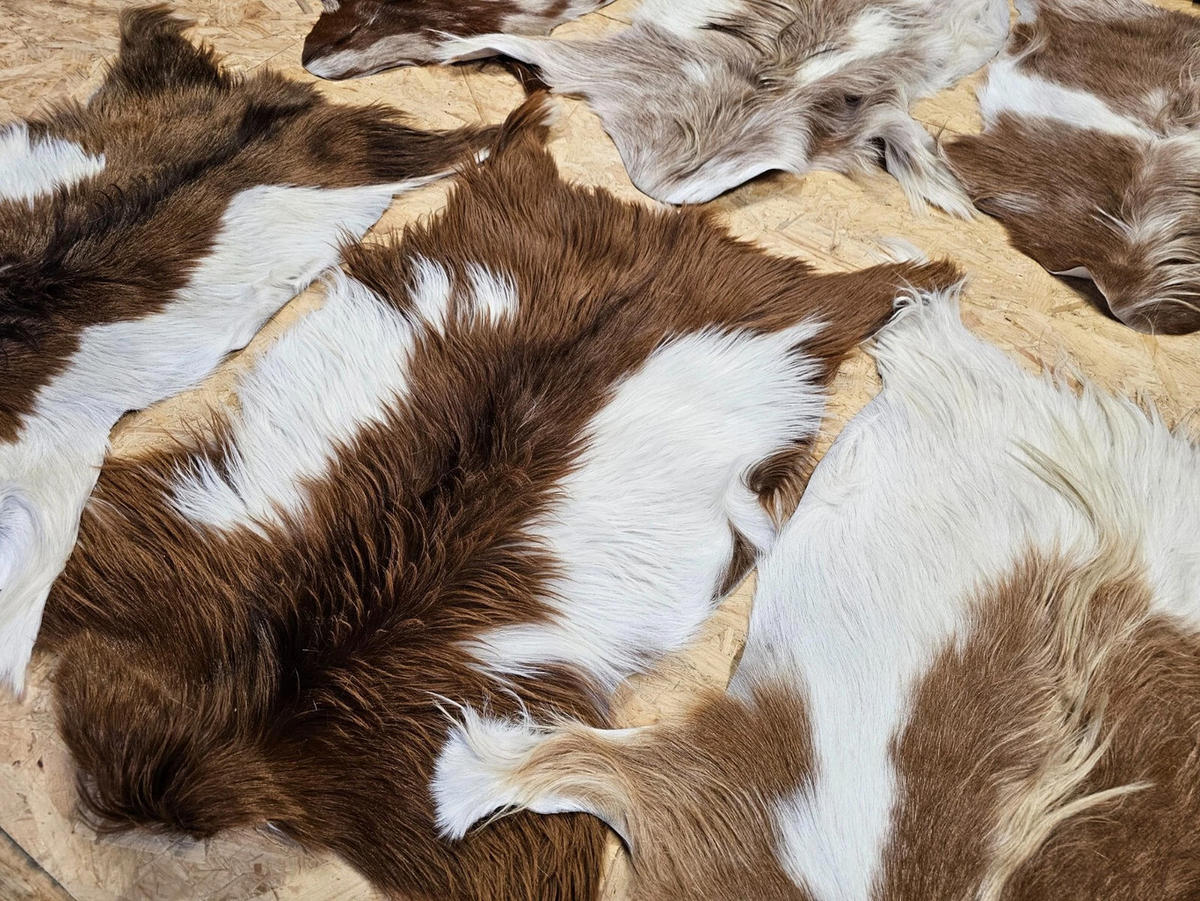 FELL Ziegenfell Braun-Weiß Naturfarben Teppich ca. 90 cm 2.Wahl - Braun/Weiß, Fell (50/90cm) - Provellus