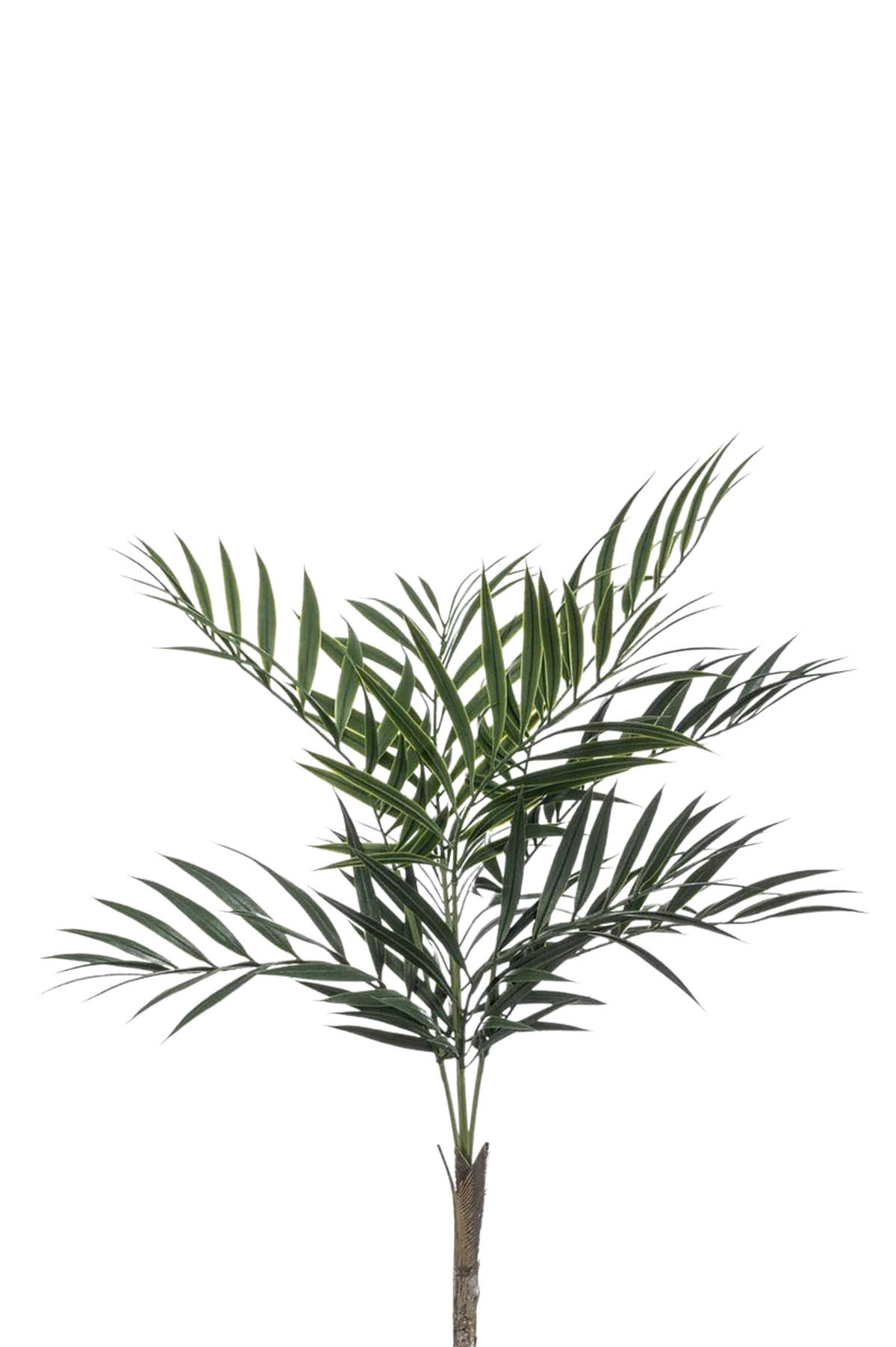 KUNSTBAUM Künstliche Palme - Koa 60 cm - Grün, Kunststoff (60cm) - Emerald