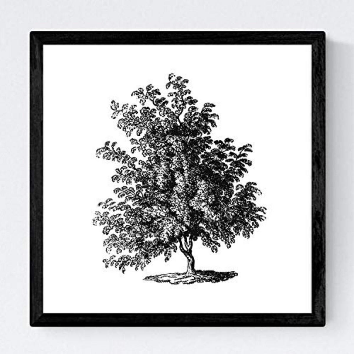 POSTER Set mit 4 Blättern der Baumzweige, weiß 20x20cm Schwarzer Rahmen - Schwarz, Papier (20/3cm) - Nacnic