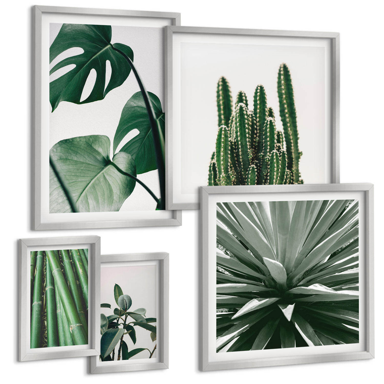 BILDER SET 5er Set - 50x50 cm & 20x30 cm & 40x60 cm Silberner Rahmen - Bambusblätter - Silberfarben, Kunststoff (40/60cm) - TULUP