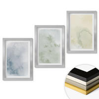 WANDBILDER 3er Set - 20x30 cm Silberner Rahmen - Pastellfarben auf Leinwand - Silberfarben, Kunststoff (20/30cm) - ArtPrintCave