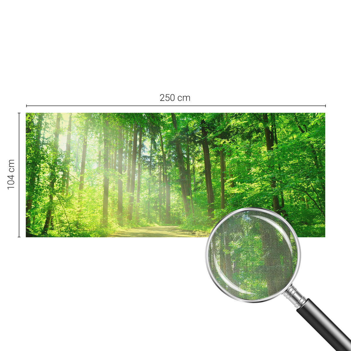 FOTOTAPETE 250x104 cm - Waldweg - Grün, Textil (250/104cm) - Wallfluent
