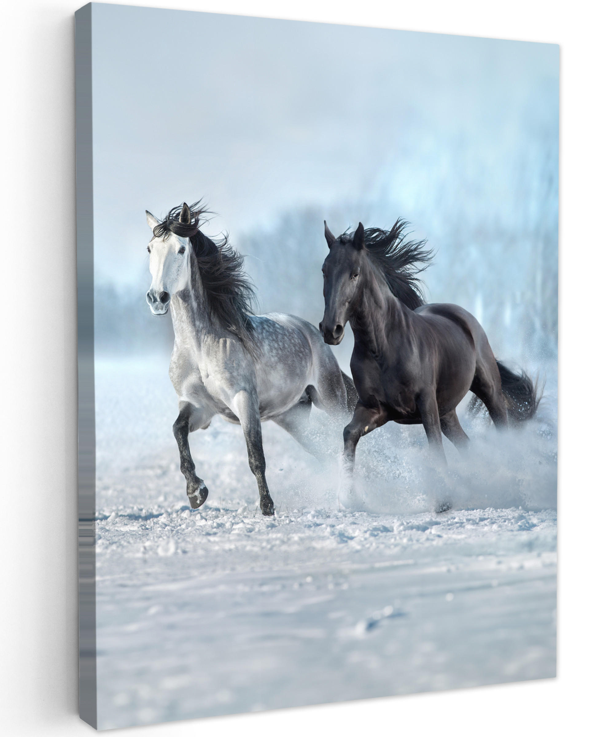 LEINWANDBILD Pferde - Winter - Tiere - Natur - Schnee 60x80 cm - Anthrazit, Textil (60/80cm) - MuchoWow