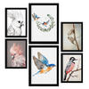 POSTER Set Mit 6 Vogelsammlungen A3 & A4 Schwarzer Rahmen - Schwarz, Papier (29/3cm) - Nacnic