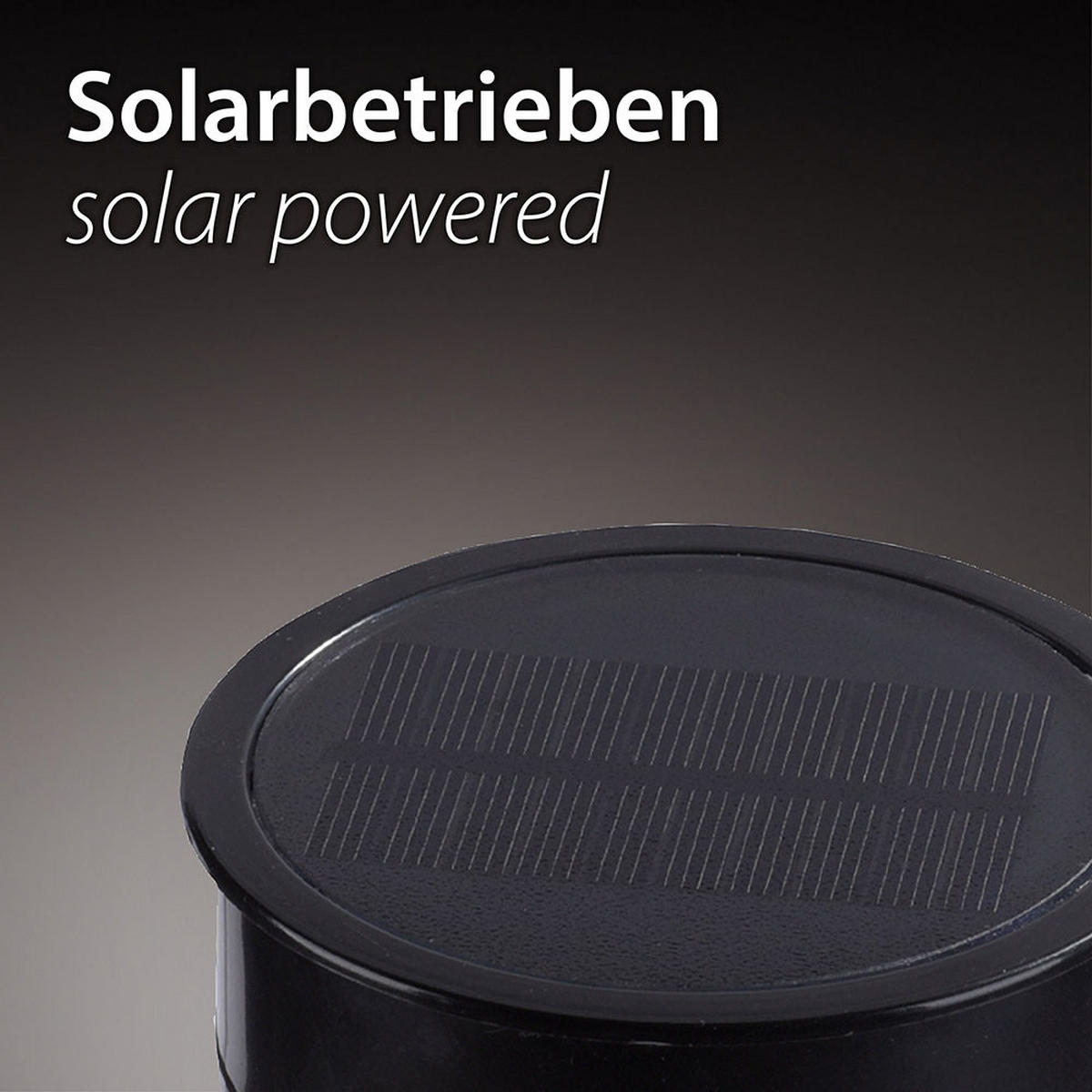 LED AUSSENLEUCHTE Mandy Weiß Metall - Weiß, Metall (14/14/30cm)