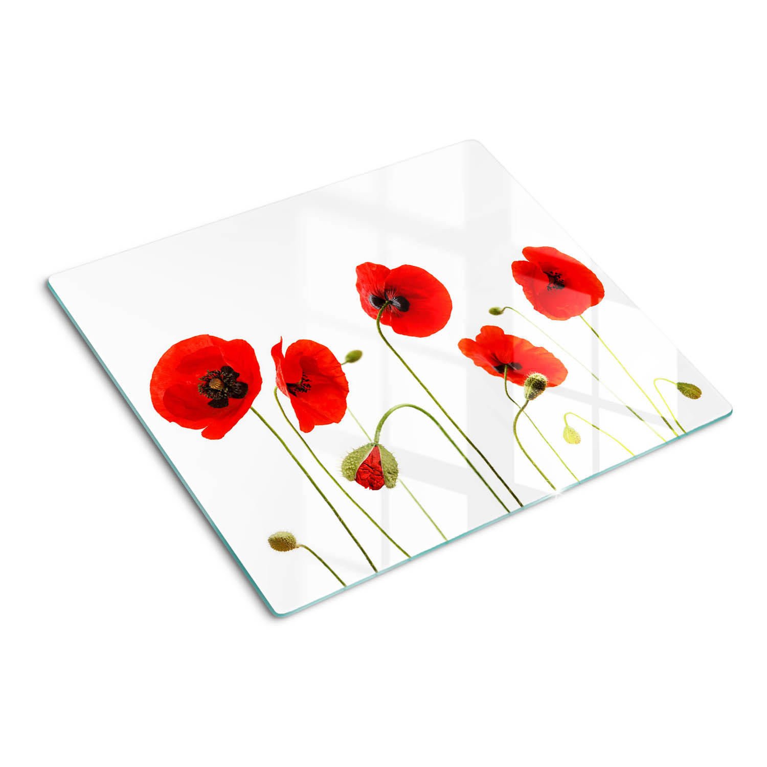 GLASPLATTE 60x52 cm Mohnblumen - Rot, Glas (60/0.4/52cm) - TULUP