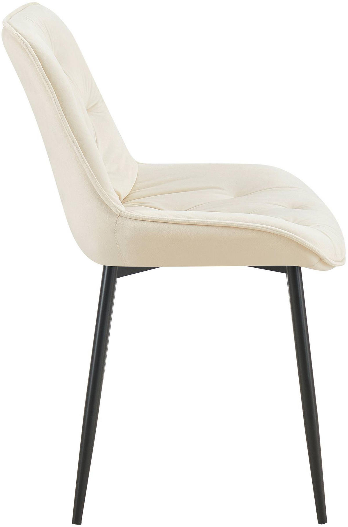 STUHL Samt creme - Creme/Schwarz, Textil/Metall (52/84/59cm) - CLP