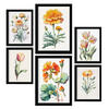POSTER Set Mit 6 Orangenblüte Größe A3 & A4 Schwarzer Rahmen - Schwarz, Papier (29.7/1cm) - Nacnic