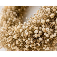 TROCKENBLUMENKRANZ Schleierkraut - 35 cm / natur - Beige, Naturmaterialien (35cm) - Lykke & You