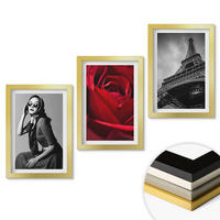 WANDBILDER 3er Set - 20x30 cm Goldrahmen - Pariserin mit Eiffelturmbrille - Goldfarben, Kunststoff (20/30cm) - ArtPrintCave
