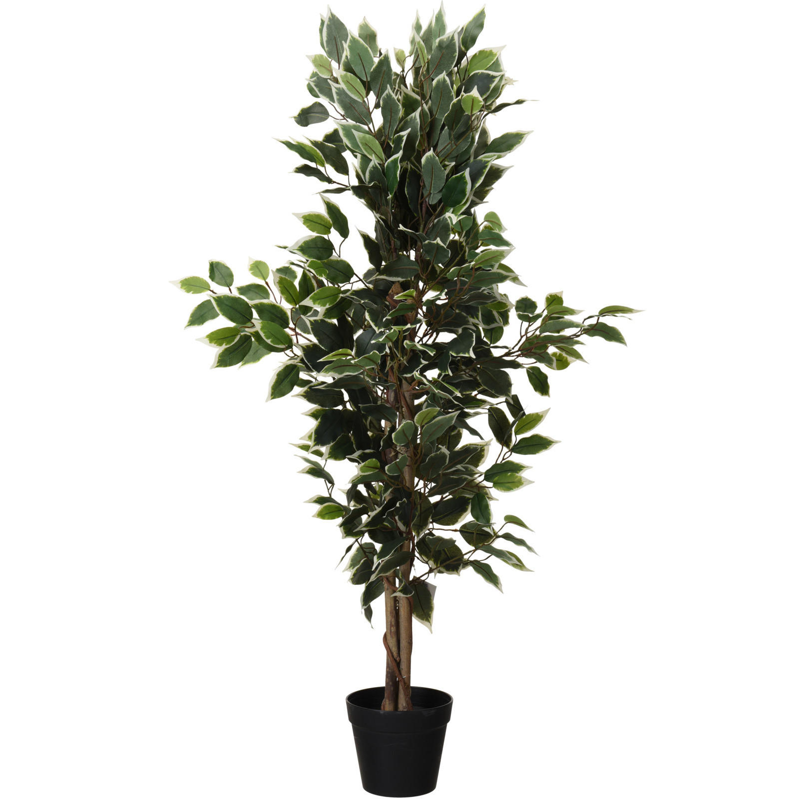 FICUS-BAUM im schwarzen Topf 38/20,5/115 cm - Grün, Kunststoff (115cm) - Home Styling Collection